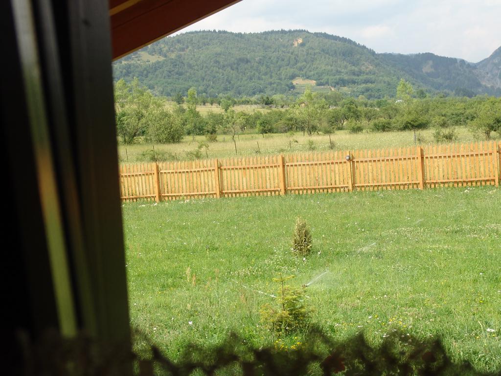 Vila Complex Agroturistic Livada De Nuci Baia de Fier Exteriér fotografie