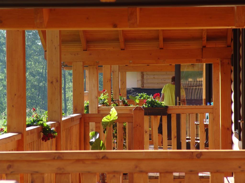 Vila Complex Agroturistic Livada De Nuci Baia de Fier Exteriér fotografie