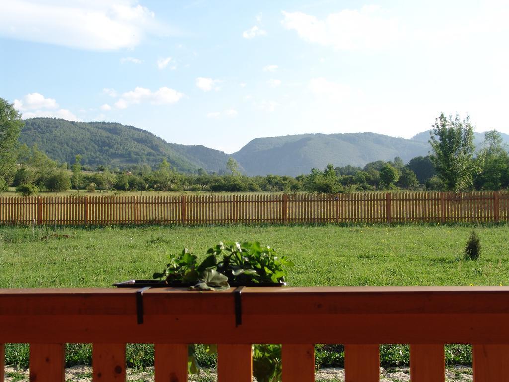 Vila Complex Agroturistic Livada De Nuci Baia de Fier Exteriér fotografie