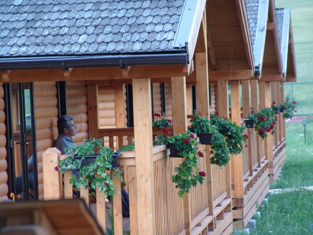 Vila Complex Agroturistic Livada De Nuci Baia de Fier Exteriér fotografie