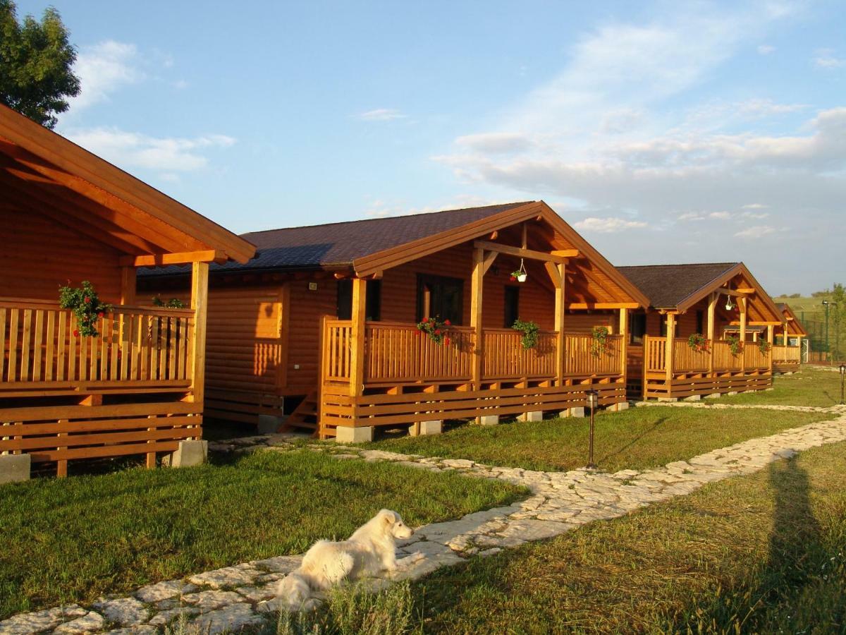 Vila Complex Agroturistic Livada De Nuci Baia de Fier Exteriér fotografie