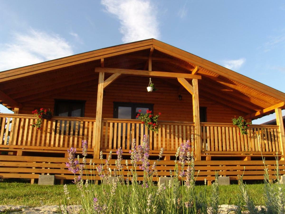 Vila Complex Agroturistic Livada De Nuci Baia de Fier Exteriér fotografie