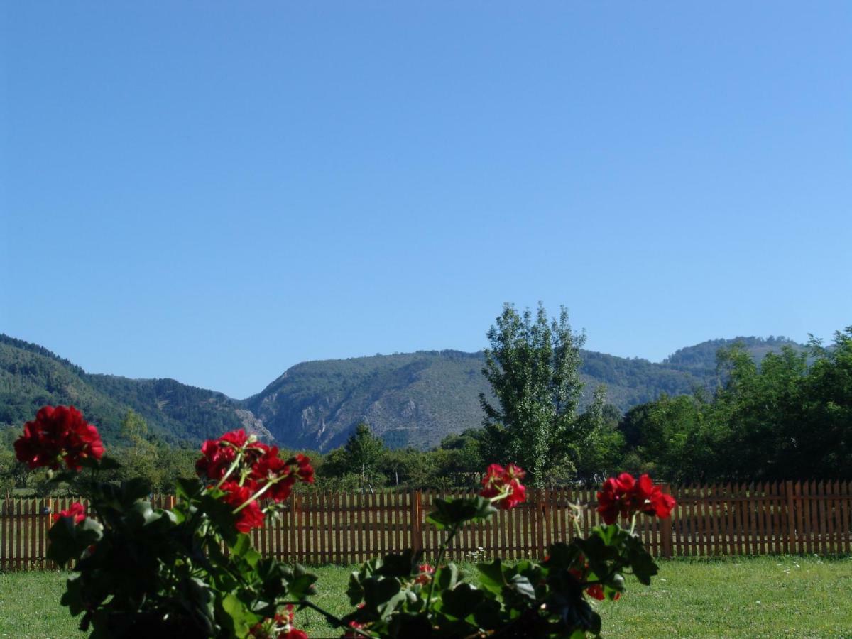 Vila Complex Agroturistic Livada De Nuci Baia de Fier Exteriér fotografie
