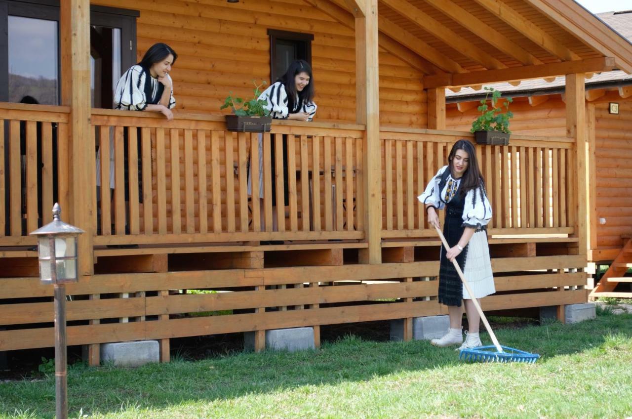 Vila Complex Agroturistic Livada De Nuci Baia de Fier Exteriér fotografie