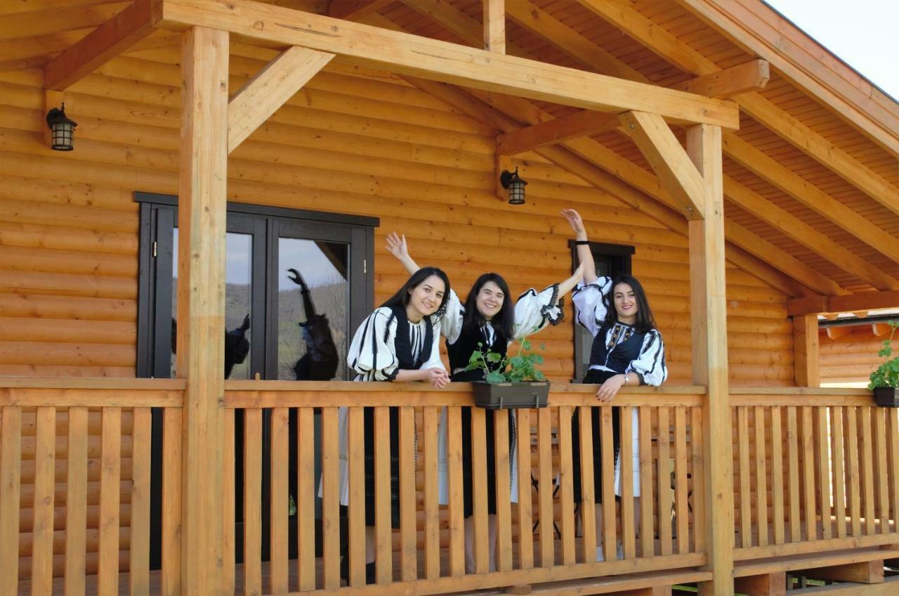 Vila Complex Agroturistic Livada De Nuci Baia de Fier Exteriér fotografie