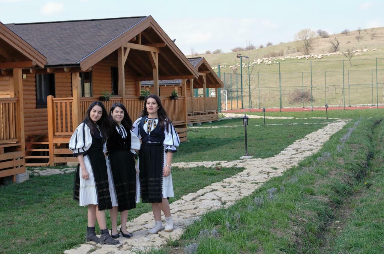 Vila Complex Agroturistic Livada De Nuci Baia de Fier Exteriér fotografie